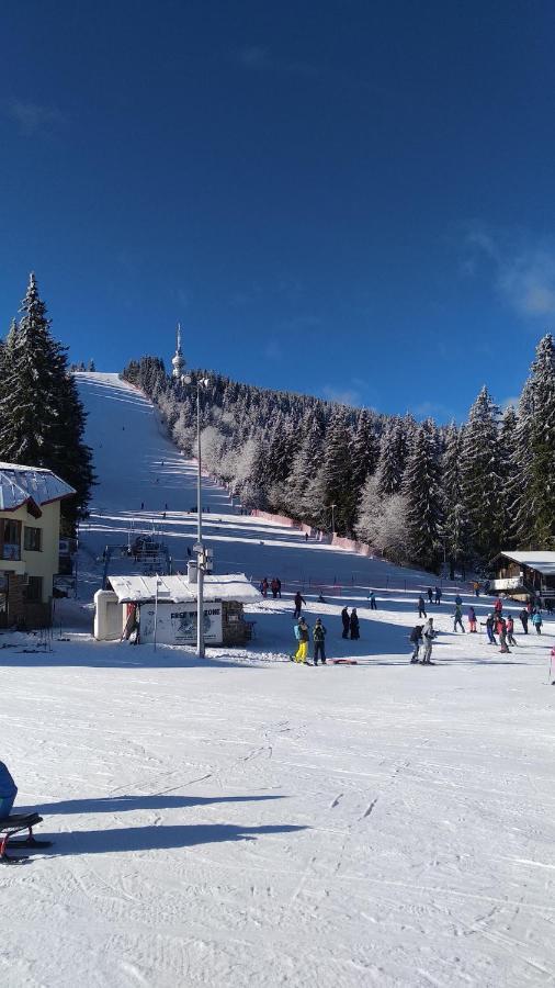 Snow Dreams 1 Grand Monastery Apartment Pamporovo Exterior photo